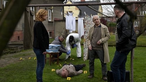 Épisode 11