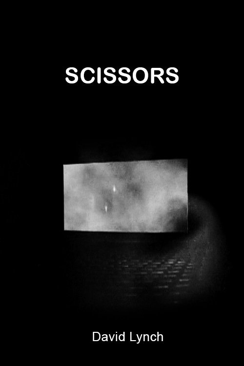 Scissors cover