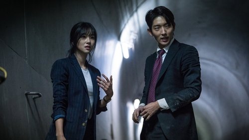 Lawless Lawyer