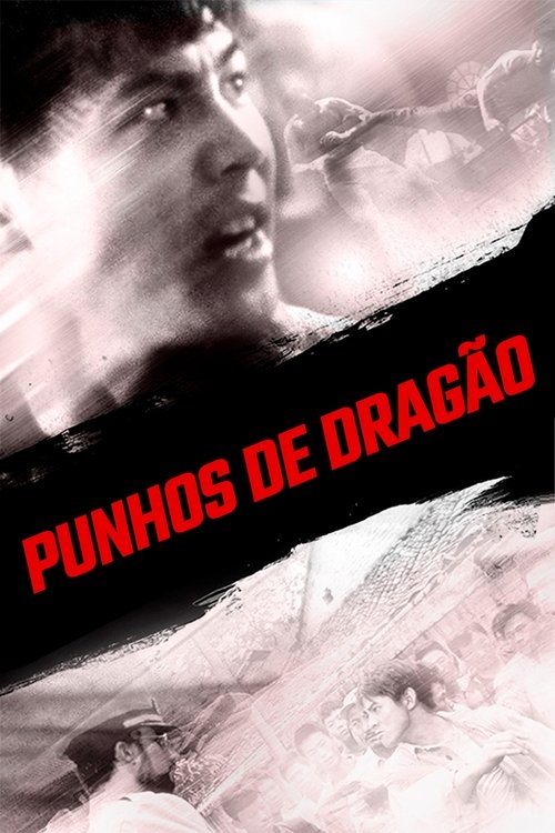 Pôster de Punhos de Dragão