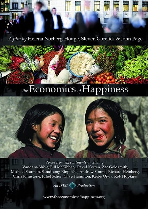 The Economics of Happiness poster