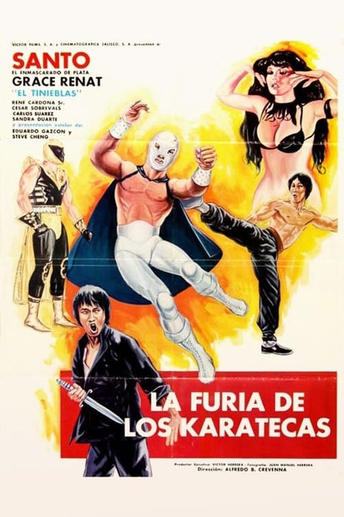 La furia de los karatecas 1982