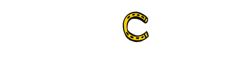 보잭 홀스맨