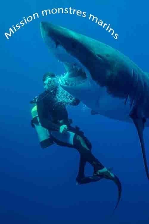 Mission monstres marins movie poster player