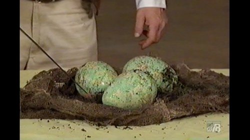 Épisode 11