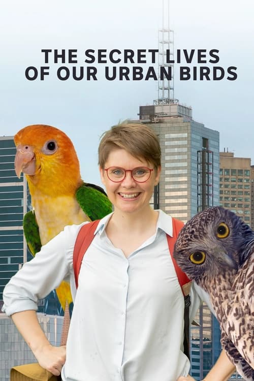 Where to stream The Secret Lives of Our Urban Birds