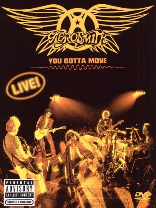 Aerosmith - You Gotta Move 2004