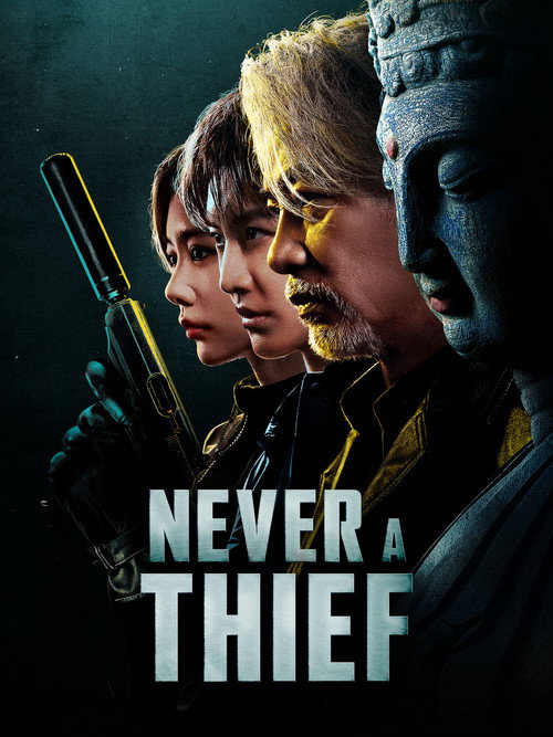 Never a Thief poster