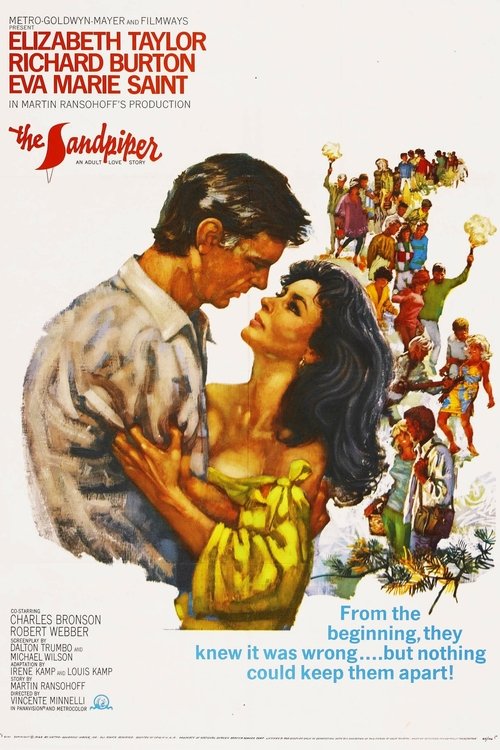 The Sandpiper poster