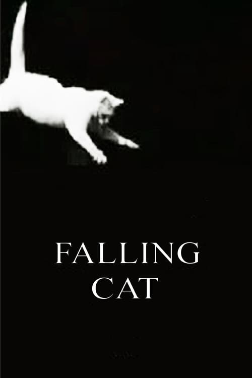 Falling Cat Movie Poster Image