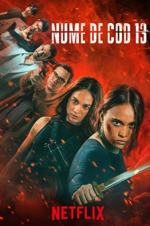 Poster pentru Nume de cod 13