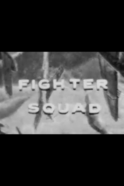 Fighter Squad poster