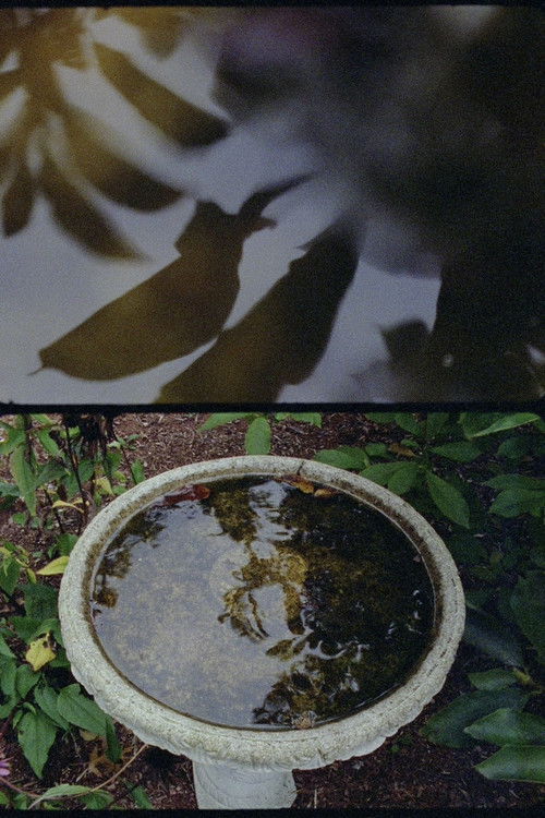 Pitcher of Colored Light poster