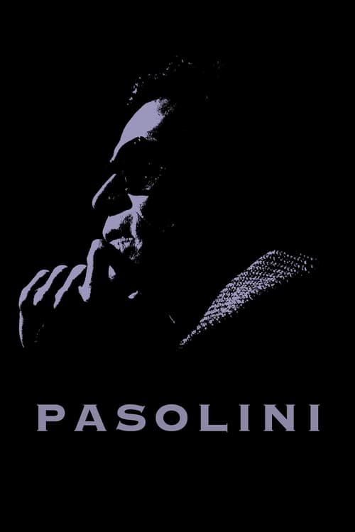 Pasolini 2014