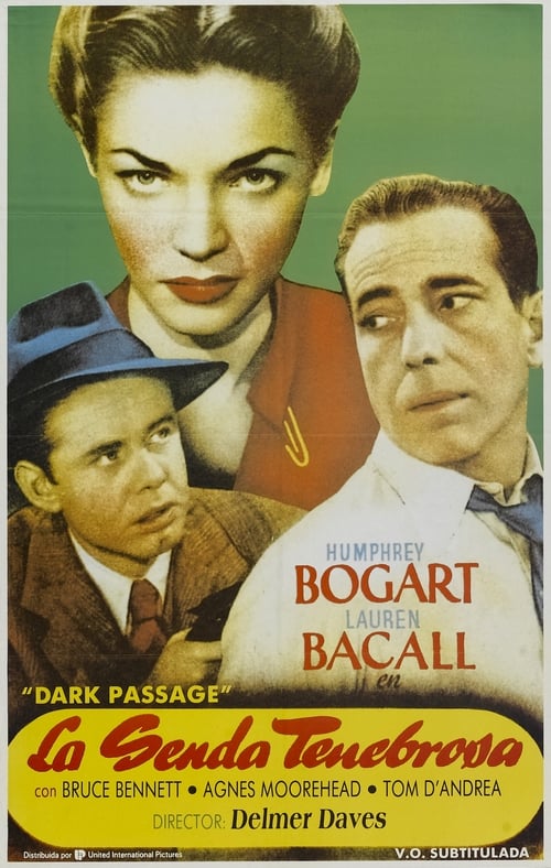 Dark Passage poster