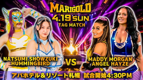 Marigold Spring Victory Series 2026 ~ Day 13 (Evening)