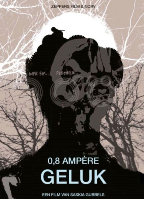 0,8 Ampère Geluk movie poster player