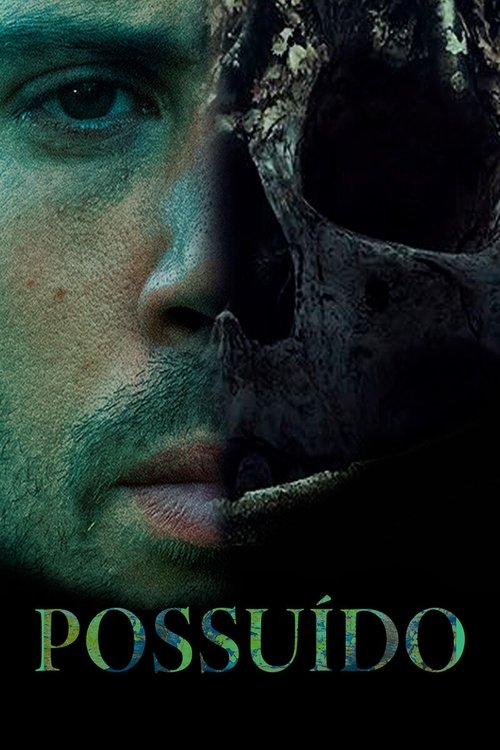 Pôster de Possuído
