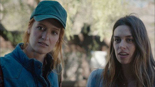 The Faith Diaries: Week Two