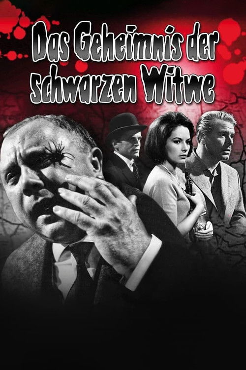 The Secret of the Black Widow poster