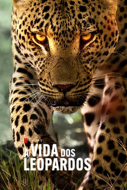 Viver com os Leopardos