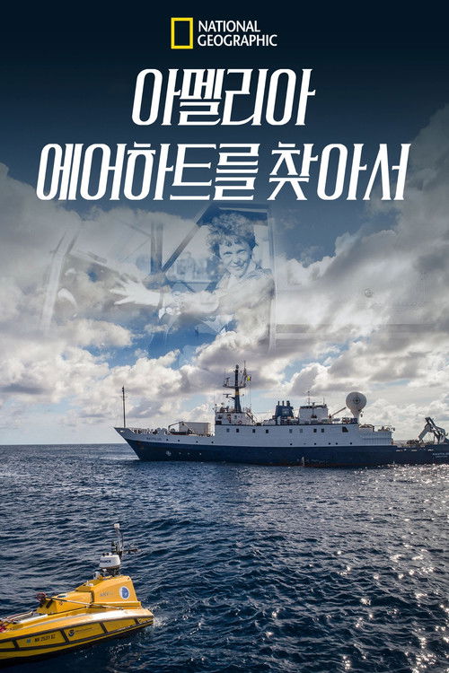 Expedition Amelia poster