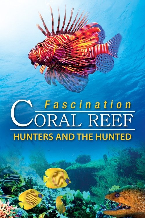 Fascination Coral Reef: Hunters and the Hunted 2012