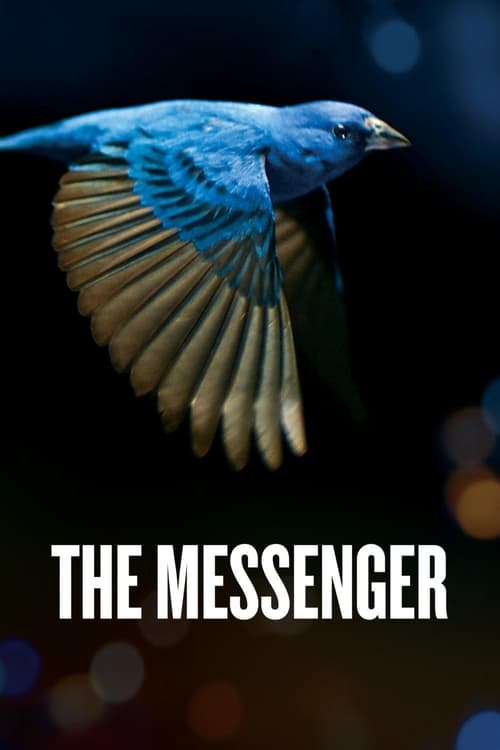 The Messenger 2015