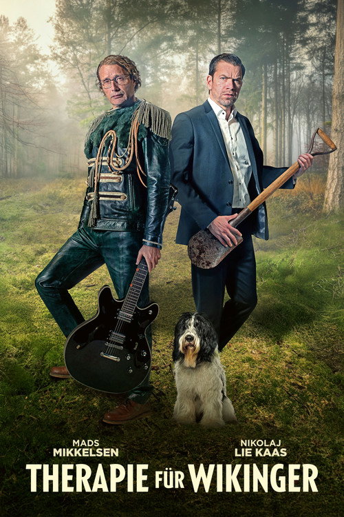 The Last Viking poster