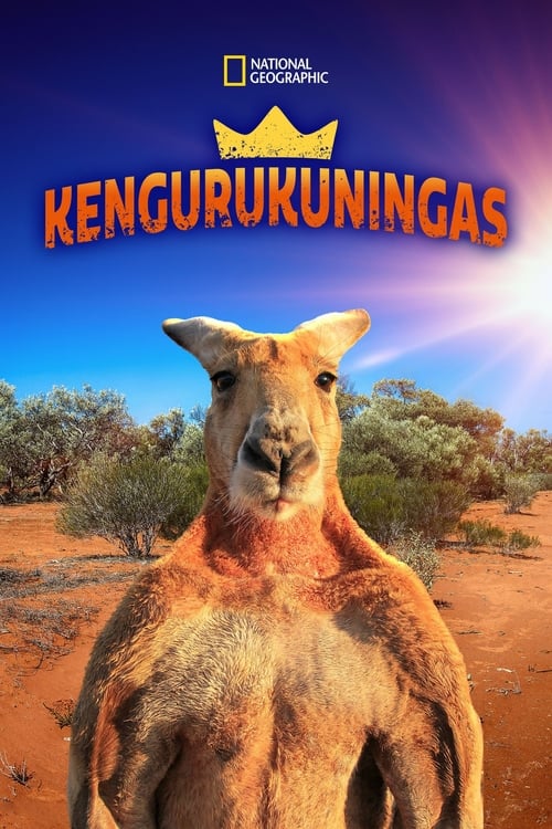 The Kangaroo King poster