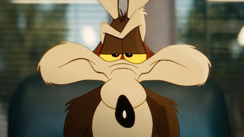 Coyote vs. ACME