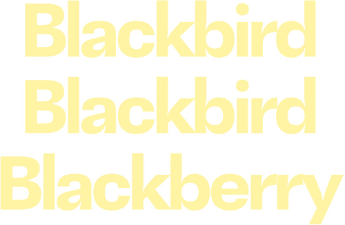 Blackbird Blackbird Blackberry