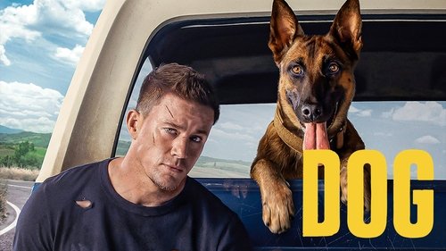 Dog (2022) Download Full HD ᐈ BemaTV