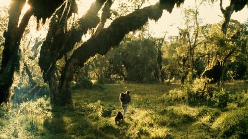 Poster della serie Dian Fossey: Secrets in the Mist