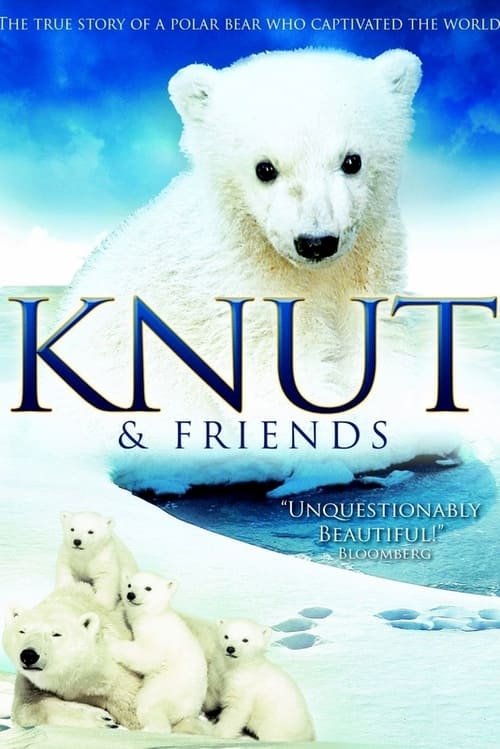 Knut und seine Freunde poster