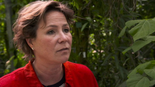 Image du film
