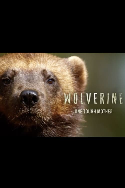 Wolverine: One Tough Mother Quick Links