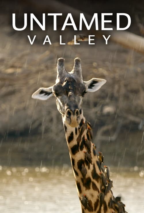 Untamed Valley (2017)