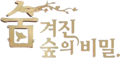 숨겨진 숲의 비밀