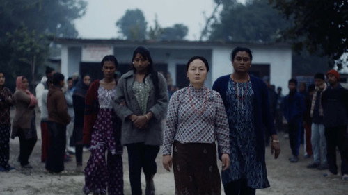 Elephants in the Fog