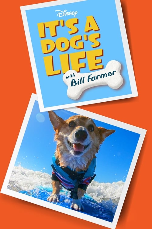 Una vida de perros, con Bill Farmer