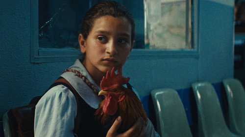 The President's Cake