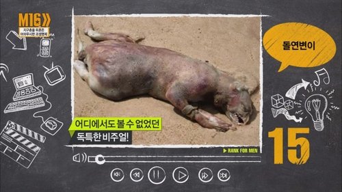 Image de l'épisode 14