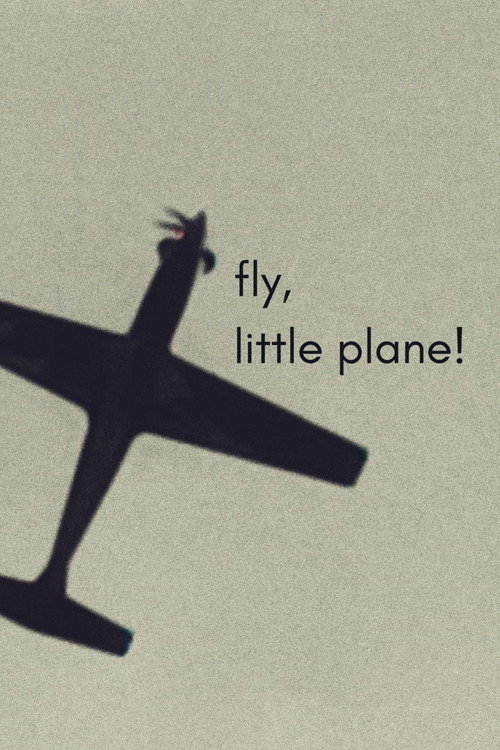 fly, little plane! poster