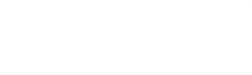 Секретное досье