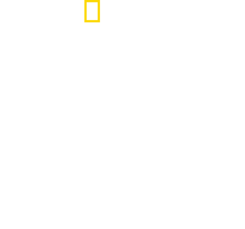 Inside the SS