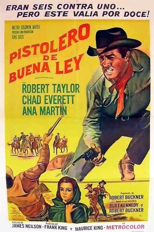 Return of the Gunfighter poster