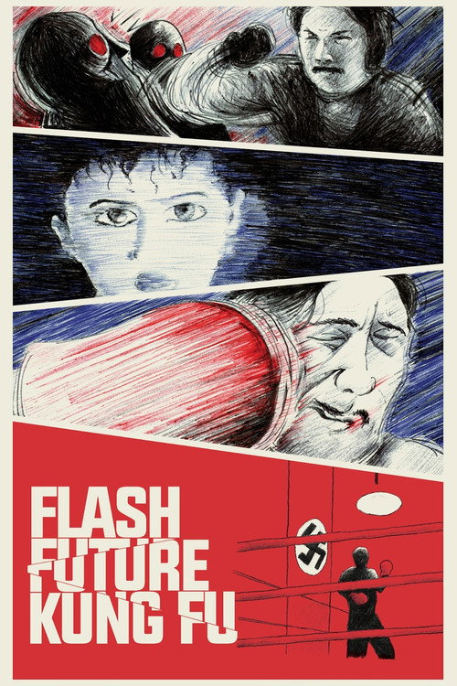 Flash Future Kung Fu poster
