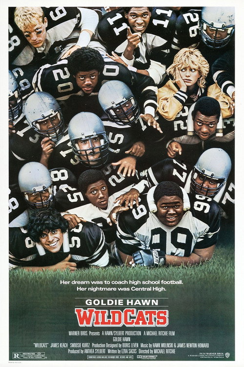 Wildcats poster