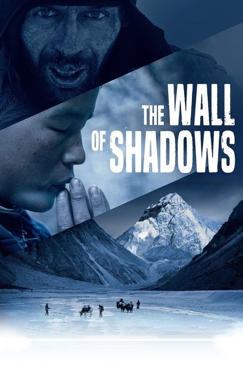 The Wall of Shadows Movie Poster Image